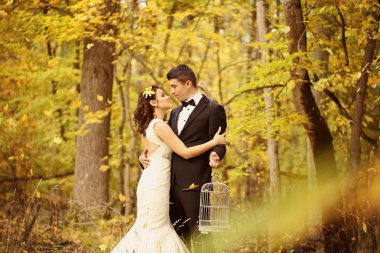 Güzel gelin ve damat ormanda kucaklayan