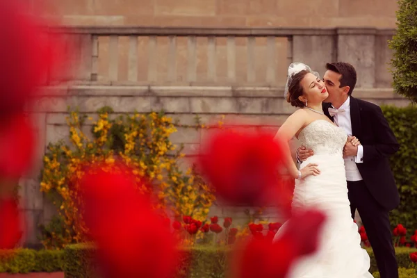 Bruid en bruidegom omarmen in het park — Stockfoto