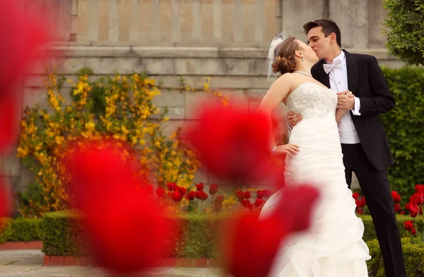 Nevěsta a ženich objímat v parku — Stock fotografie