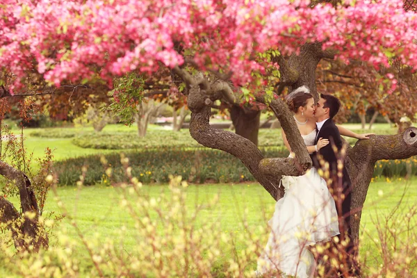 Bruid en bruidegom omarmen in het park — Stockfoto