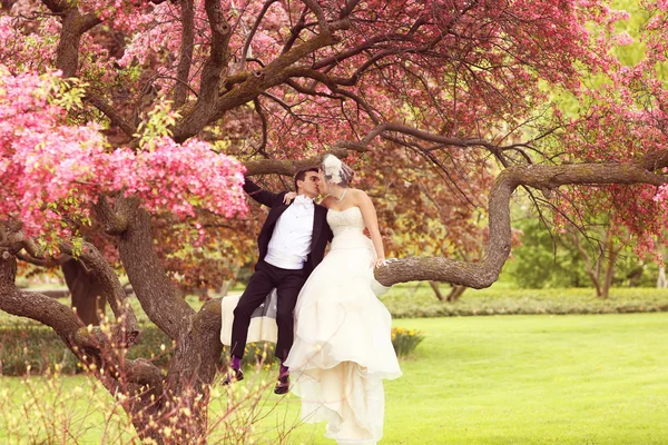 Жених и невеста обнимаются в парке — стоковое фото