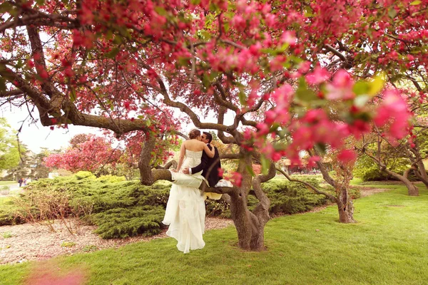 Sposa e sposo che si abbracciano nel parco — Foto Stock