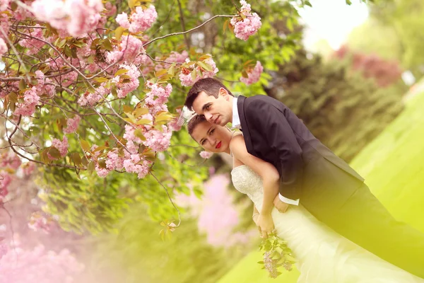 Gelin ve damat parkta kucaklayan