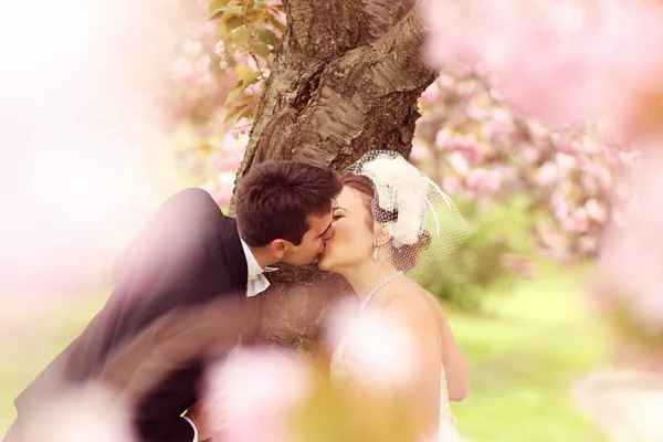 Жених и невеста обнимаются в парке — стоковое фото