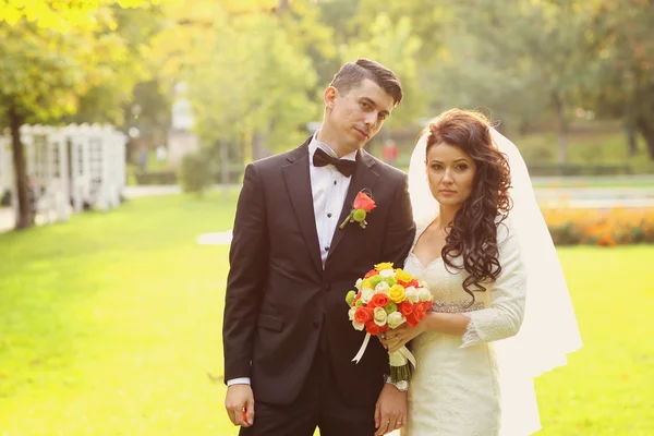 Hermosa novia y novio besándose al atardecer — Foto de Stock