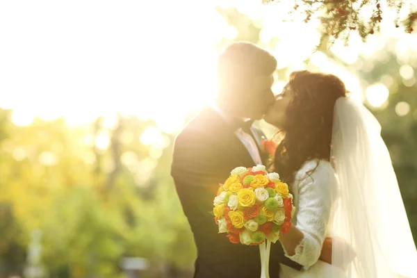 Hermosa novia y novio besándose al atardecer — Foto de Stock