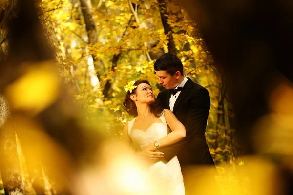 Hermosa novia y novio abrazándose en el bosque — Foto de Stock