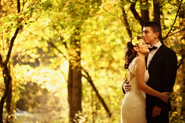 Mooie bruid en bruidegom omarmen in het bos — Stockfoto