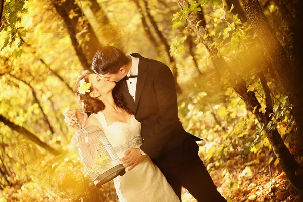 Bela noiva e noivo abraçando na floresta — Fotografia de Stock