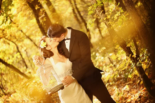 Vackra bruden och brudgummen embracing i skogen — Stockfoto