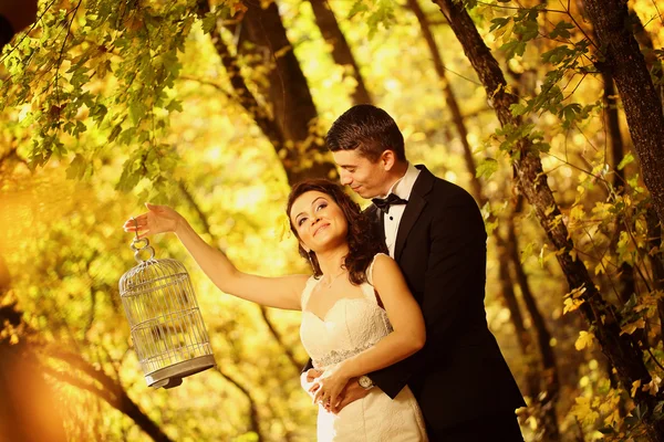 Vackra bruden och brudgummen embracing i skogen — Stockfoto
