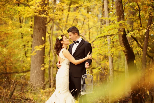 Beautiful bride and groom embracing in the woods — Stock Photo, Image