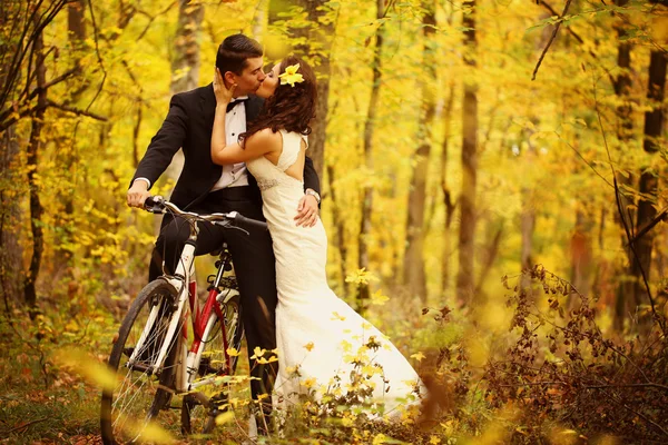 Beautiful bride and groom embracing in the woods — Stock Photo, Image