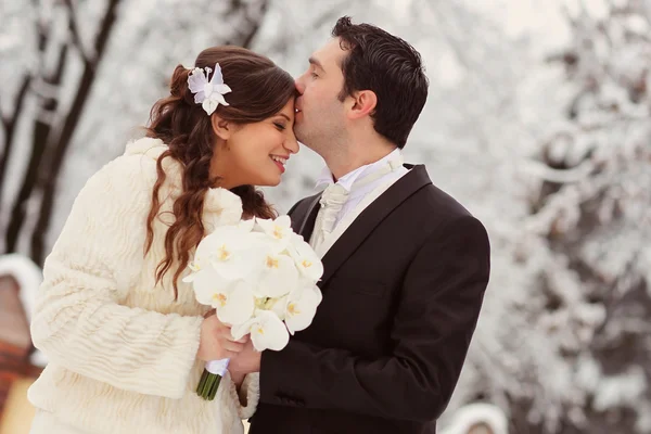 Krásná nevěsta a ženich slaví svůj svatební den — Stock fotografie