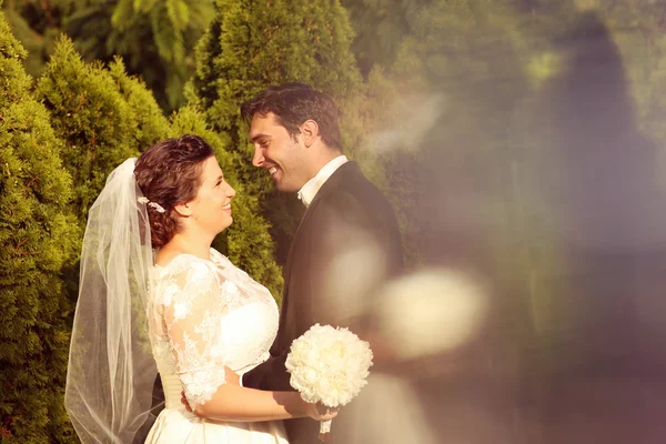 Vackra bruden och brudgummen embracing i parken — Stockfoto