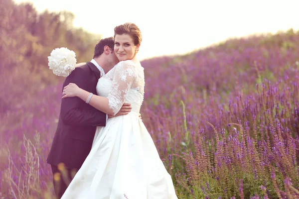 Krásná nevěsta a ženich společně v poli — Stock fotografie
