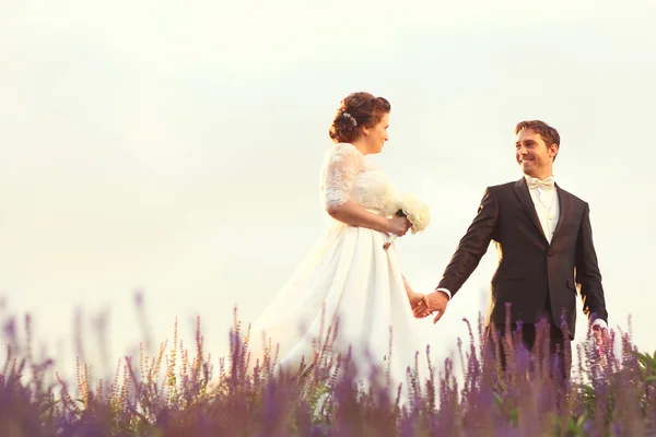 Beautiful bride and groom together in field — Stock Photo, Image