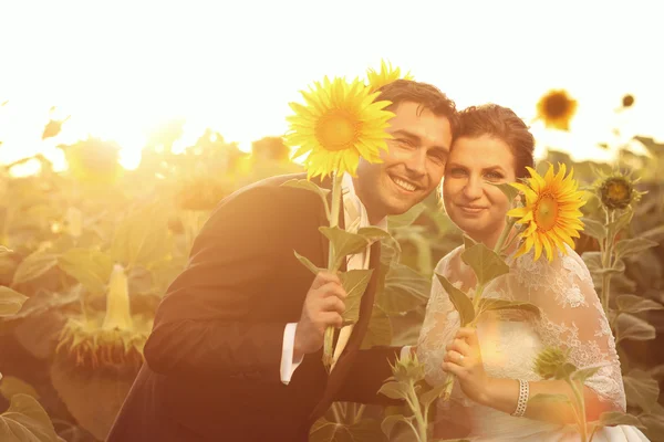 Krásná nevěsta a ženich společně ve slunečnicovém poli — Stock fotografie