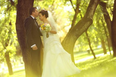 Parkta kucaklayan mutlu gelin Çift