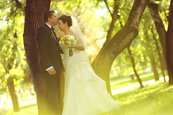 Šťastní novomanželé objímat v parku — Stock fotografie