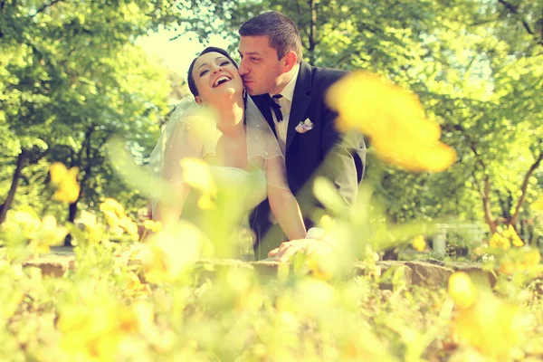 Happy bridal couple embracing in the park — Stock Photo, Image