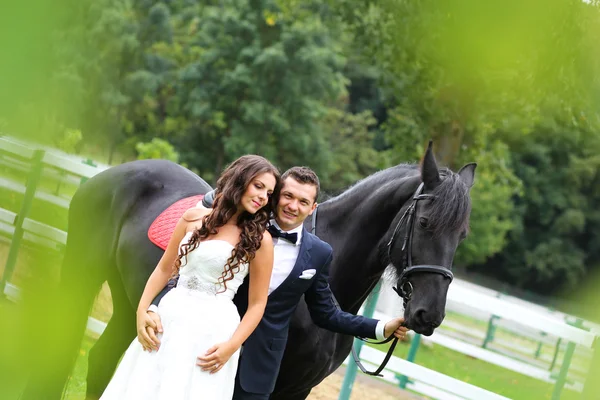 Braut und Bräutigam haben Spaß beim Reiten — Stockfoto