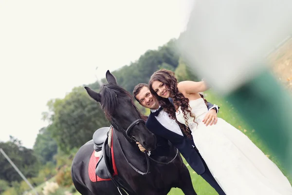 Bride and groom having fun horse riding — Stock Photo, Image