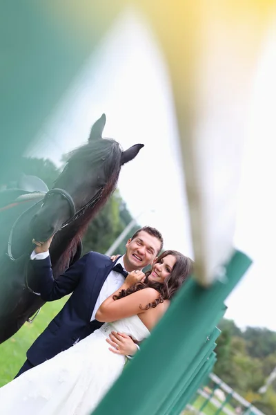 Bruid en bruidegom plezier Paardrijden — Stockfoto