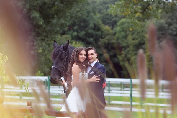 Bride and groom having fun horse riding — Stock Photo, Image