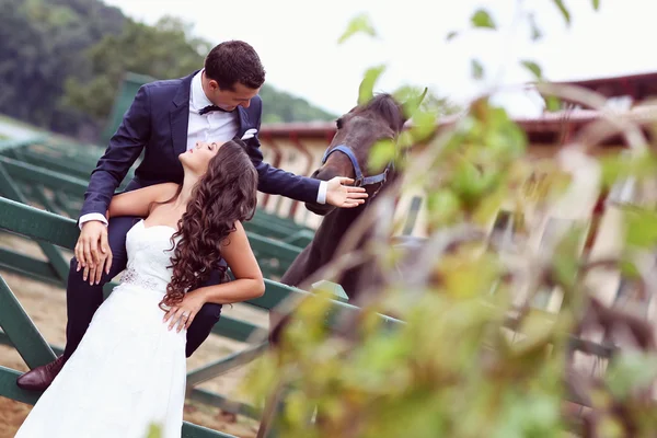 Menyasszony és a vőlegény szórakozás lovaglás — Stock Fotó