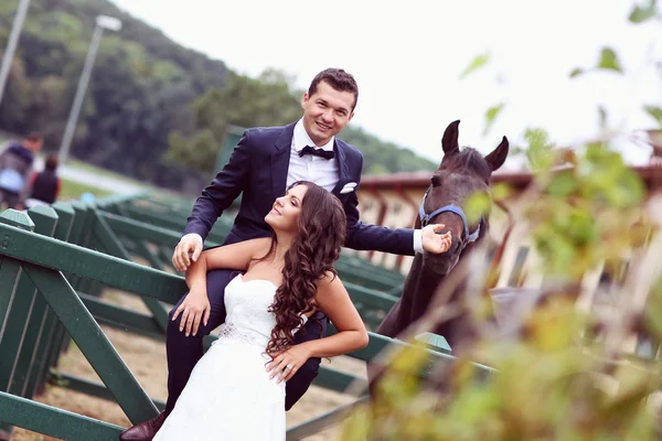 Bride and groom having fun horse riding — Stock Photo, Image