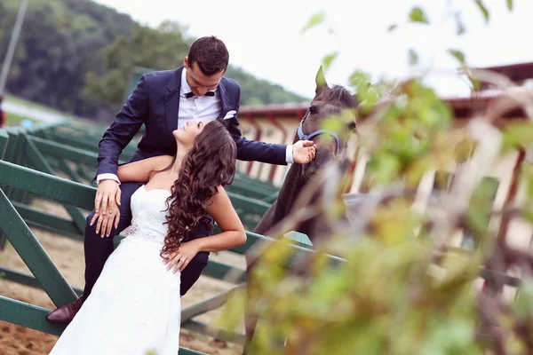 Menyasszony és a vőlegény szórakozás lovaglás — Stock Fotó