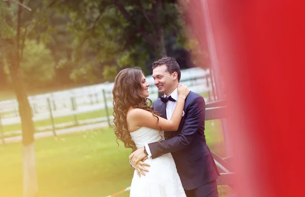 Gyönyörű menyasszony és a vőlegény átfogó területén — Stock Fotó