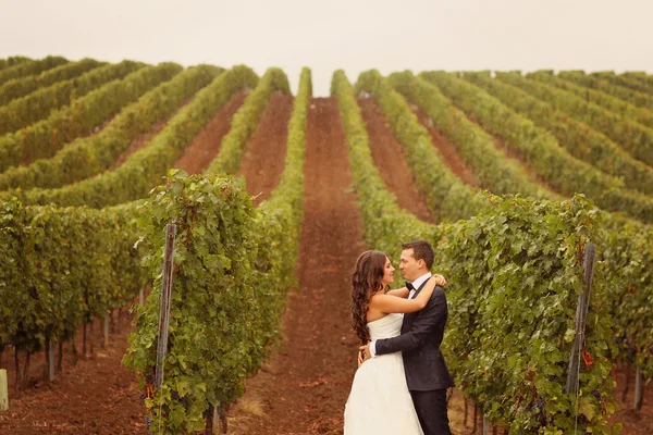 Beautiful bride and groom embracing in field — Stock Photo, Image