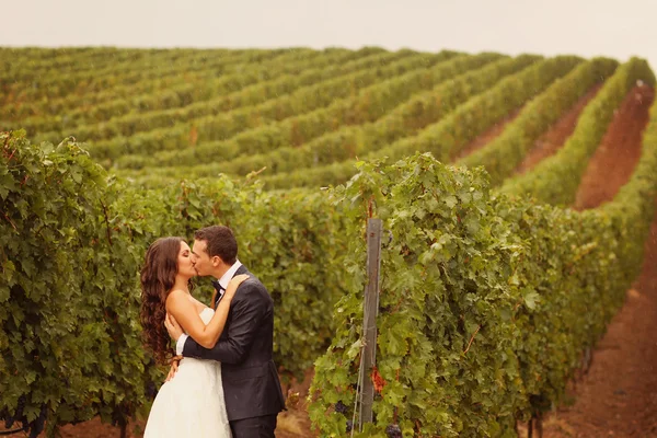 Mooie bruid en bruidegom omarmen in veld — Stockfoto