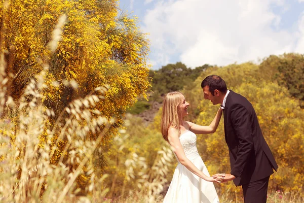 Freudige Braut und Bräutigam haben Spaß in der Natur — Stockfoto