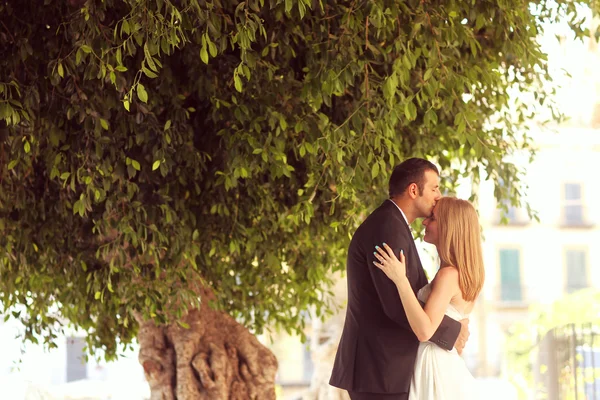 Joyful bruden och brudgummen embracing i gamla staden — Stockfoto