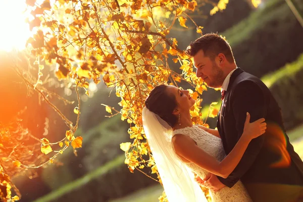 Vackra bruden och brudgummen embracing i solnedgången ljus — Stockfoto