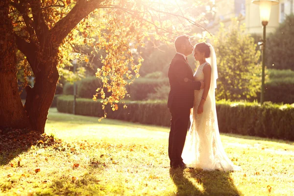 Güzel gelin ve damat günbatımı ışıkta kucaklayan — Stok fotoğraf