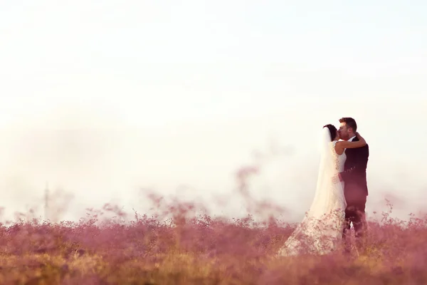Noiva e noivo abraçando em um campo — Fotografia de Stock