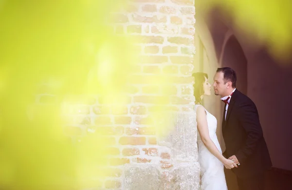 Braut und Bräutigam feiern Hochzeitstag — Stockfoto