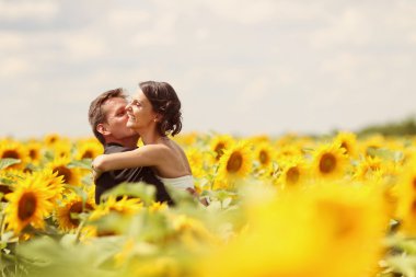 Güzel gelin ve damat ayçiçeği alanında kucaklayan