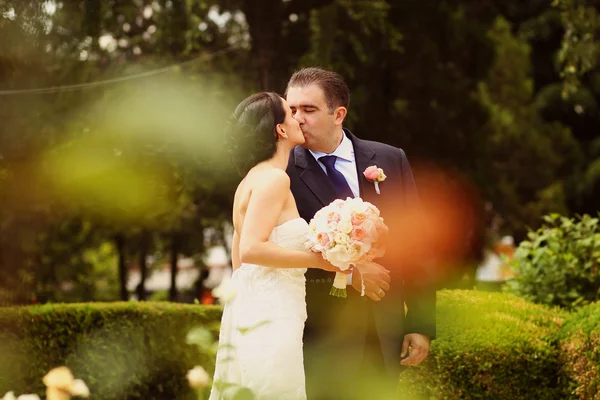 Όμορφη νύφη και γαμπρός αγκαλιάζει και φιλιά στο πάρκο — Φωτογραφία Αρχείου