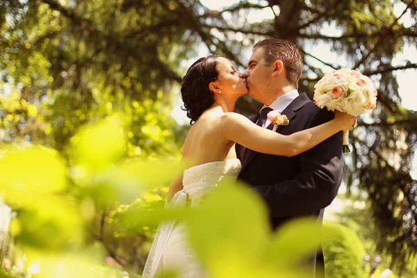 Beautiful bride and groom embracing and kissing in the park — Stock Photo, Image