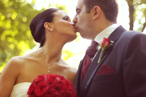 Gyönyörű menyasszony és a vőlegény, csók, és átfogó, az esküvő napján — Stock Fotó