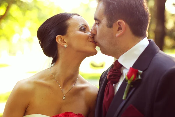 Güzel gelin ve damat öpüşme ve düğün gününde kucaklayan — Stok fotoğraf