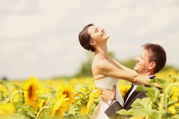 Hermosa novia y novio abrazándose en el campo de girasol — Foto de Stock