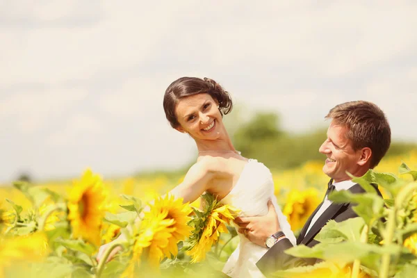 Braut und Bräutigam umarmen sich im Sonnenblumenfeld — Stockfoto