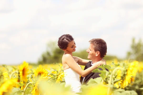 Hermosa novia y novio abrazándose en el campo de girasol —  Fotos de Stock