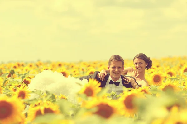 Beautiful bride and groom embracing in sunflower field — Stock Photo, Image